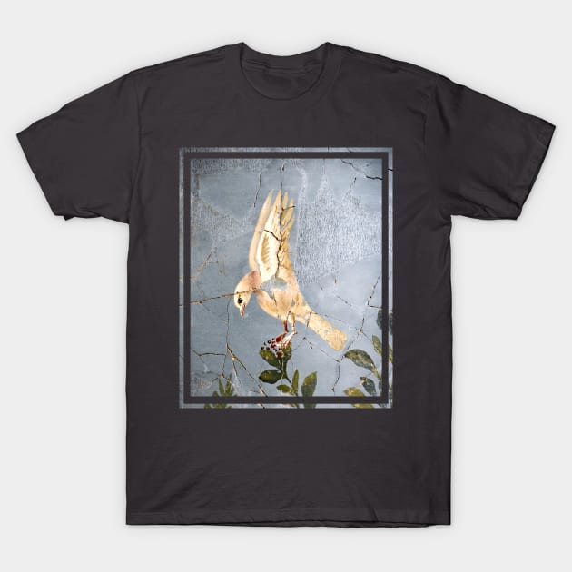 Roman Dove T-Shirt by Mosaicblues
